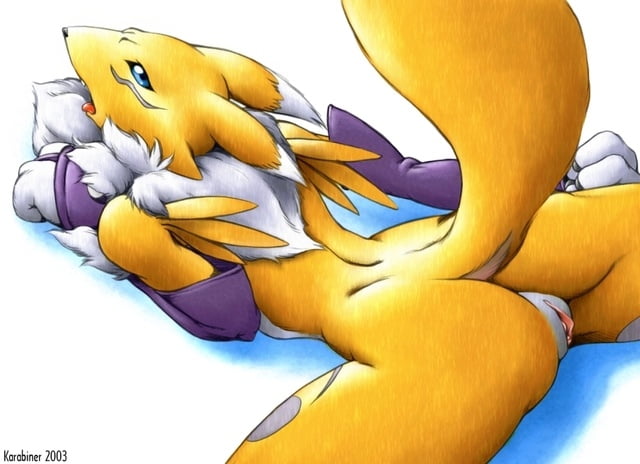 Renamon hentai
 #96273154