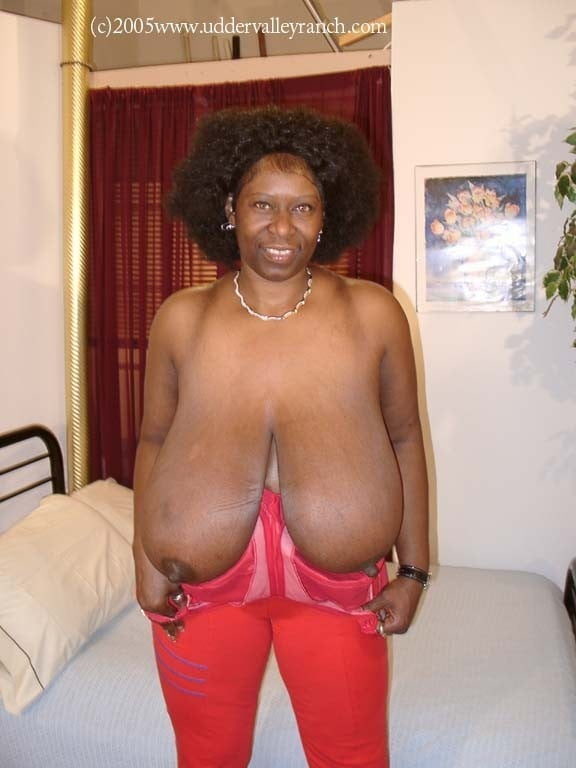 Enormes tetas negras son hermosas
 #93113483
