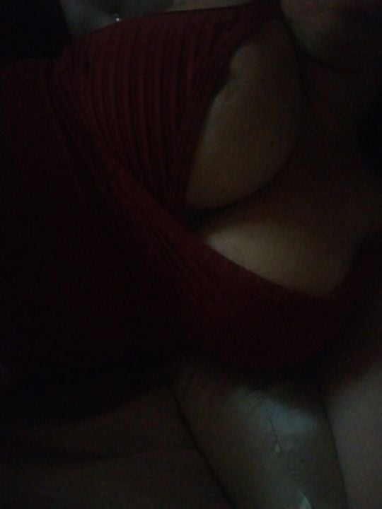 Perras de la ciudad de Rack
 #90281371