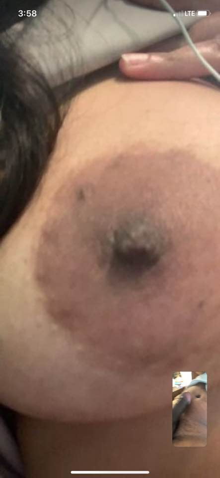 Perras de la ciudad de Rack
 #90281378