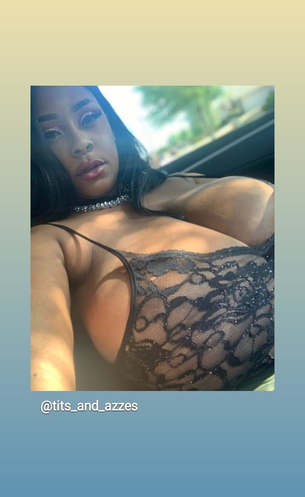 Perras de la ciudad de Rack
 #90281380