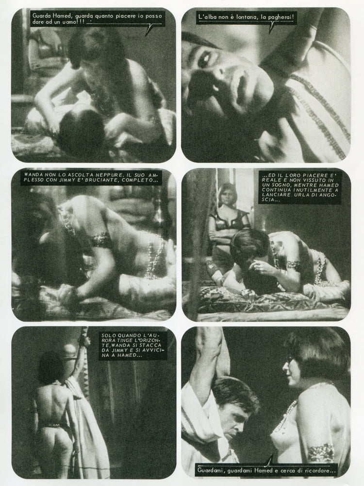 イタリア映画における性の精神病 1968 - 1972
 #105044187