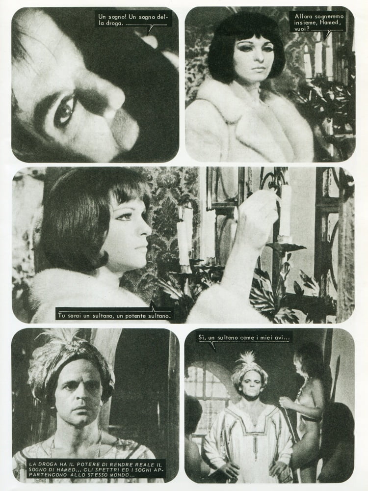 イタリア映画における性の精神病 1968 - 1972
 #105044358