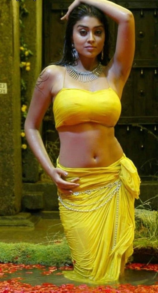 South Indian Actress - Shirya #89687898