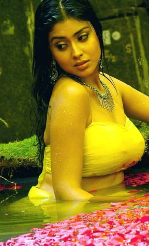 South Indian Actress - Shirya #89687901