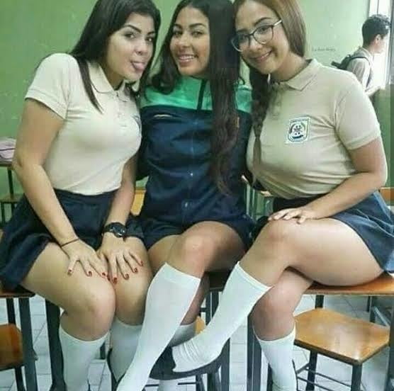 Coles en celo 10 #80103850