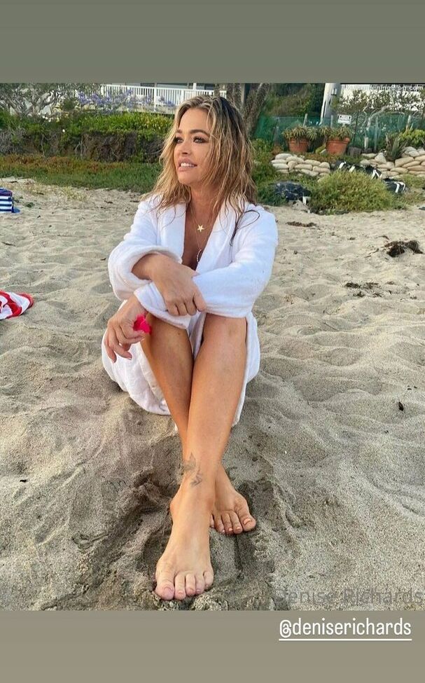 Denise Richards nude #107676416