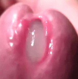 Random gifs i like #89786229