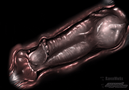 Random gifs i like #89786282