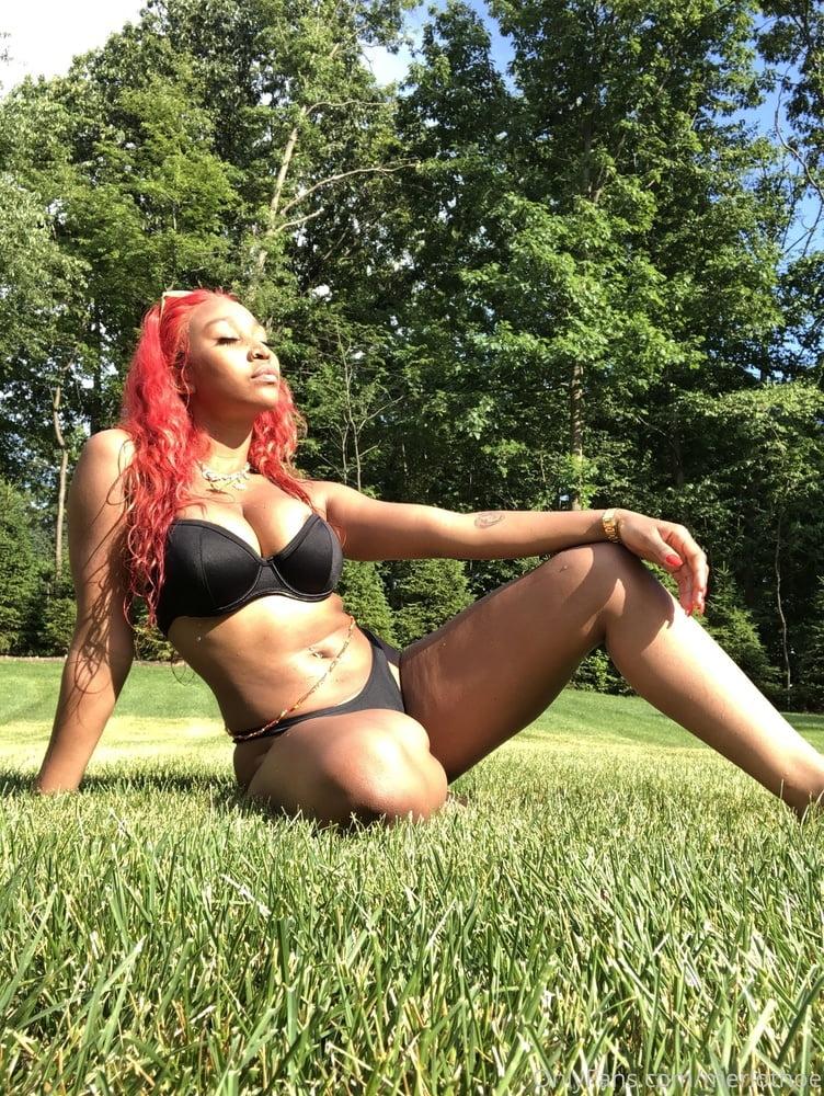 Rival de Siri
 #89223164