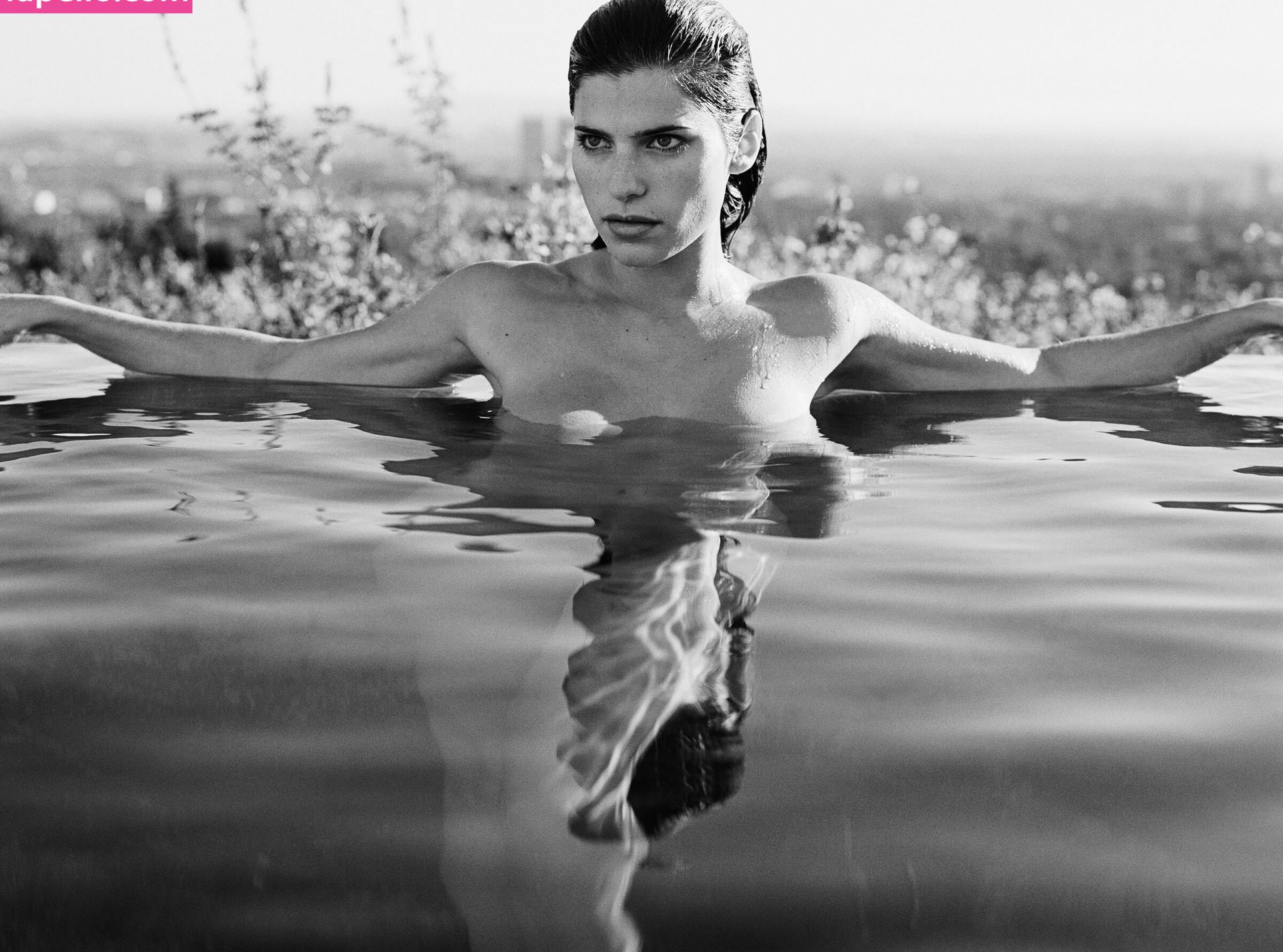 Lake Bell nuda #108531235