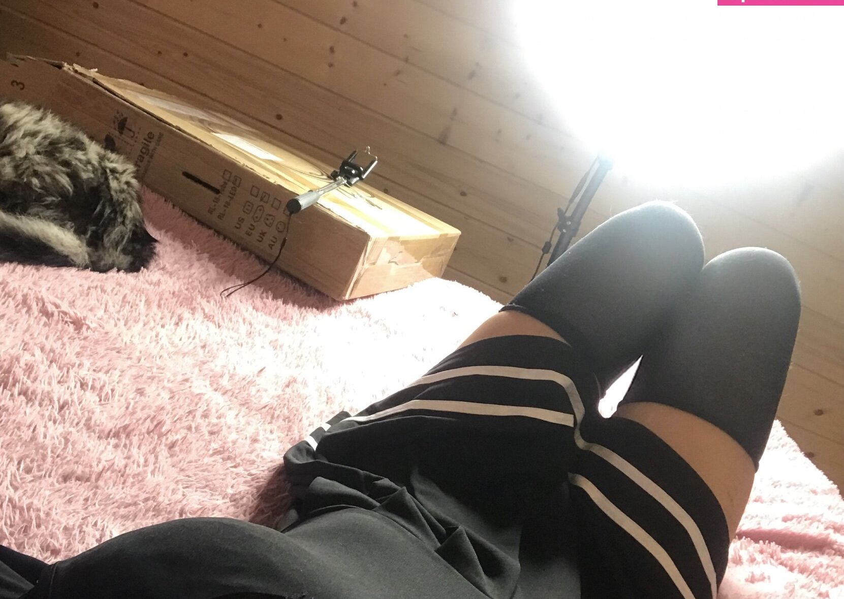 Nikachi Nika Kotova desnuda #109801677