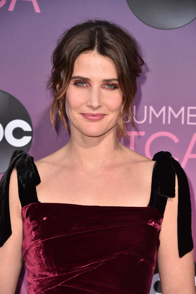 Lockdown distraction - cobie smulders
 #96473093