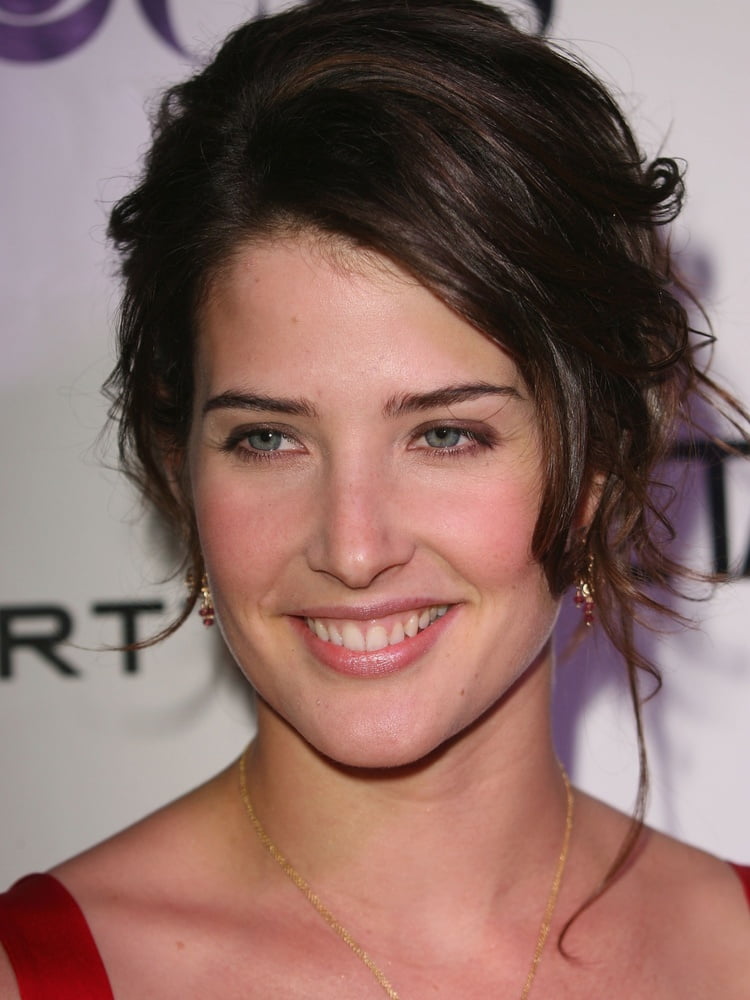 Lockdown distraction - cobie smulders
 #96473327