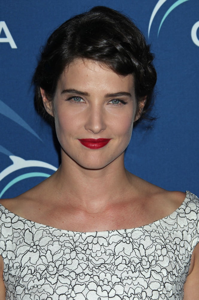 Lockdown distraction - cobie smulders
 #96474129