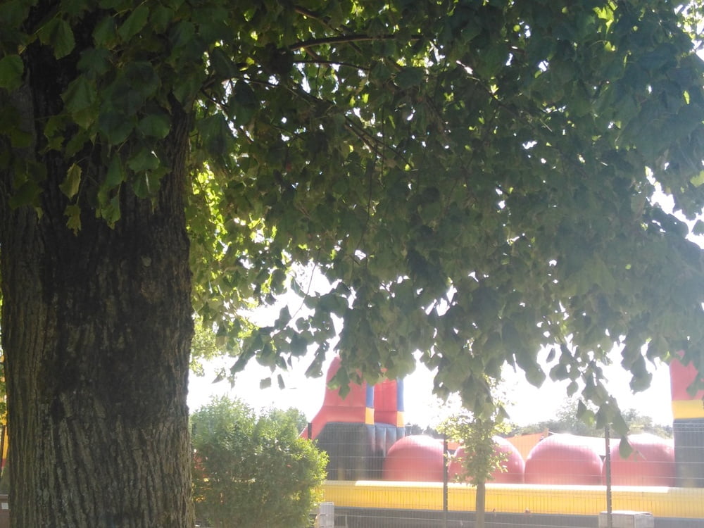 エスカパード・アン・アベノワ
 #87805202