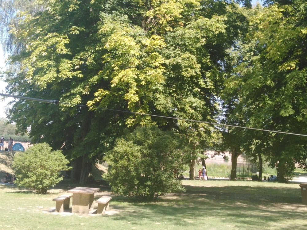 エスカパード・アン・アベノワ
 #87805206