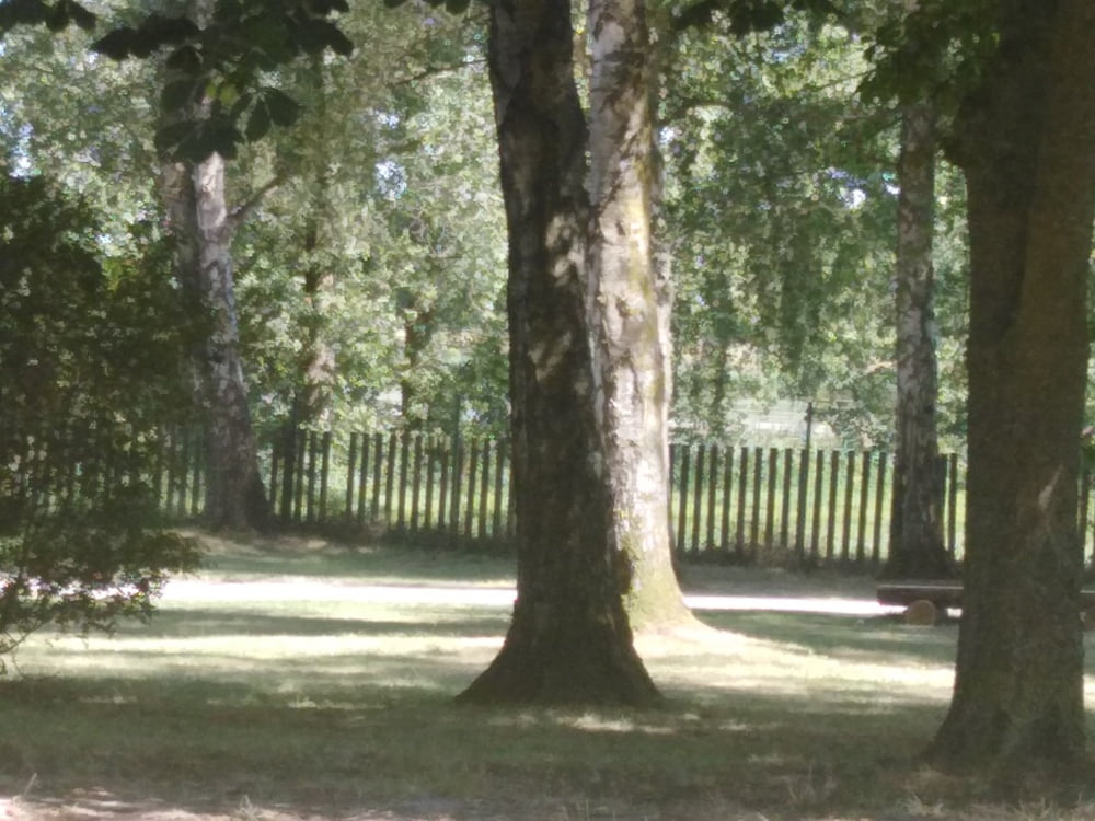 エスカパード・アン・アベノワ
 #87805210