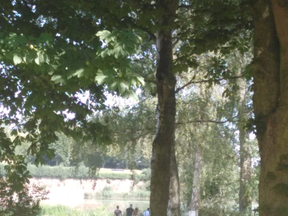 Escapada en avesnois
 #87805212