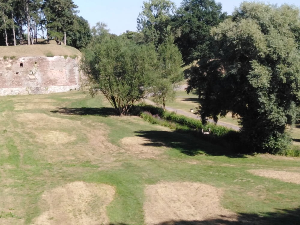 エスカパード・アン・アベノワ
 #87805222