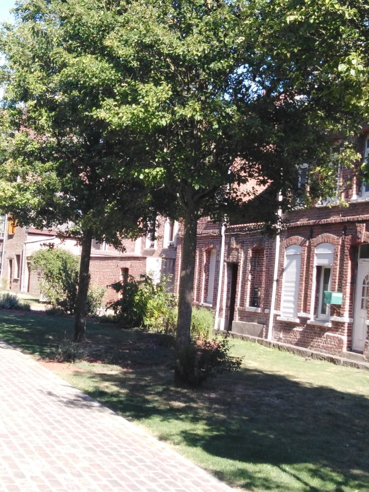 エスカパード・アン・アベノワ
 #87805241