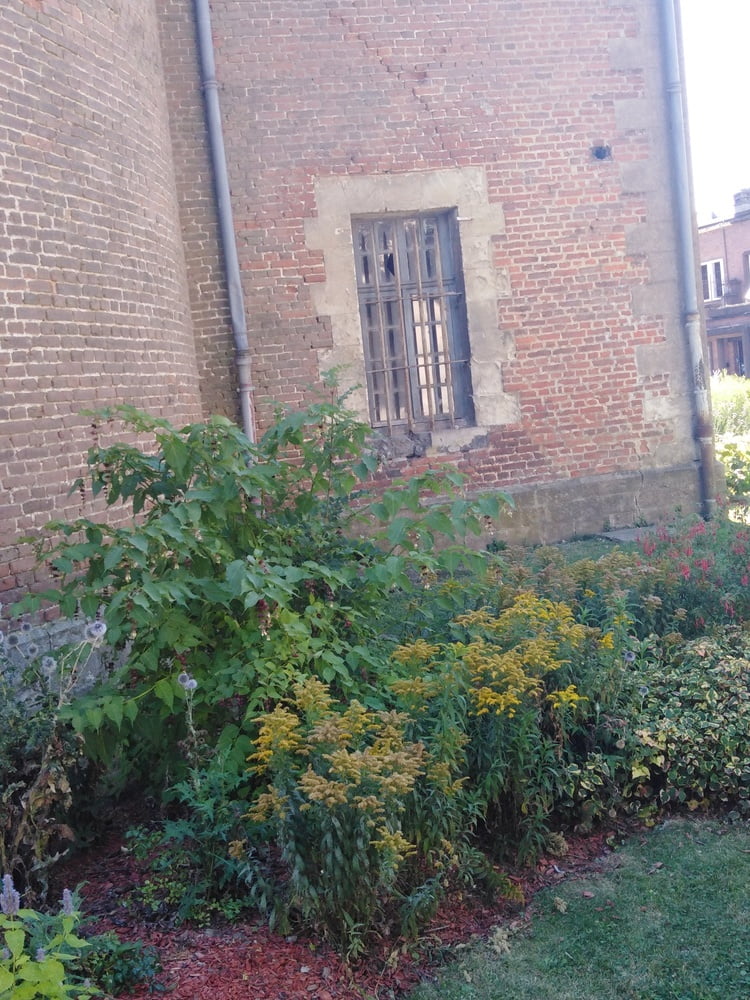 エスカパード・アン・アベノワ
 #87805245