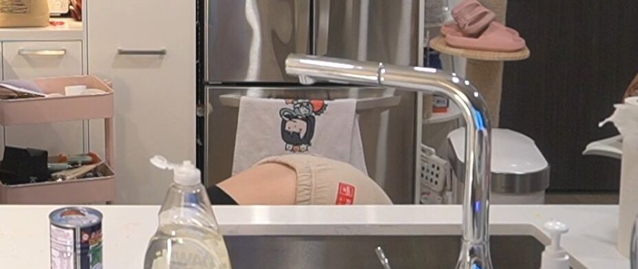 AriaSaki desnuda #108533510