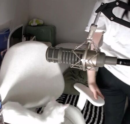 AriaSaki desnuda #108533552