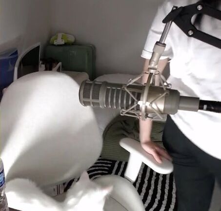 AriaSaki desnuda #108533553