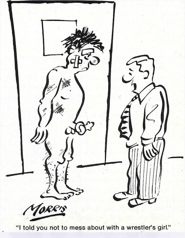 Humorous Erotica - Cartoons Galore #89788948