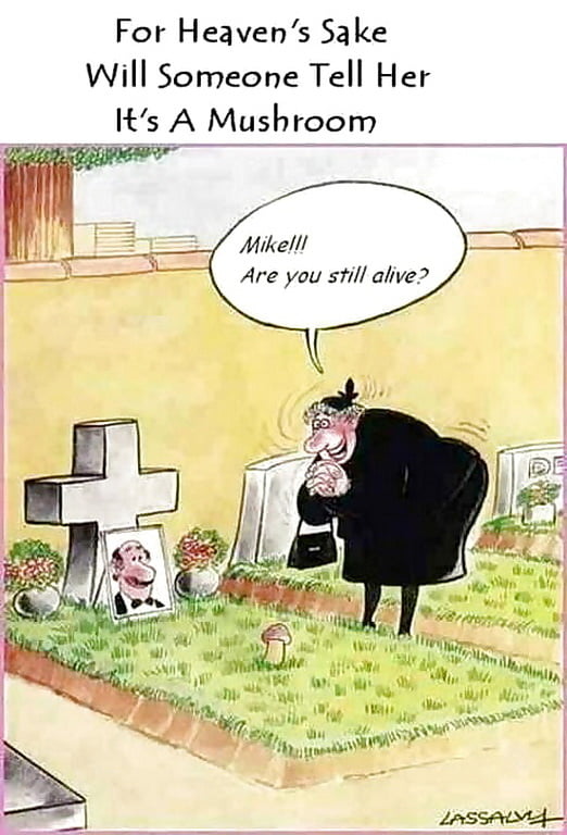 Humorous Erotica - Cartoons Galore #89789562