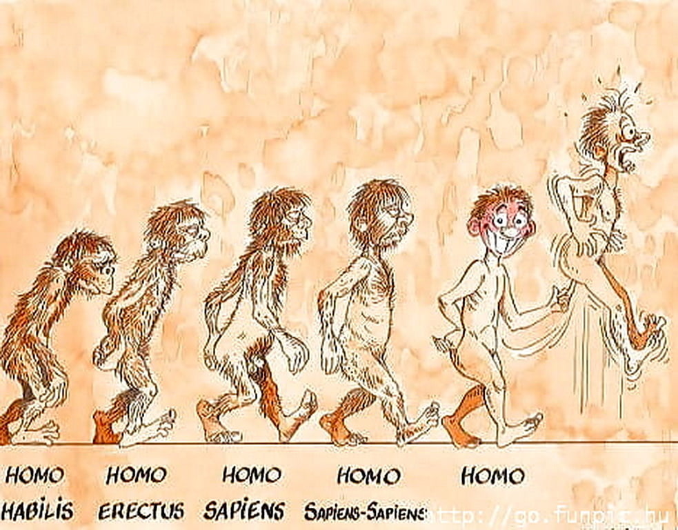 Humorous Erotica - Cartoons Galore #89789635