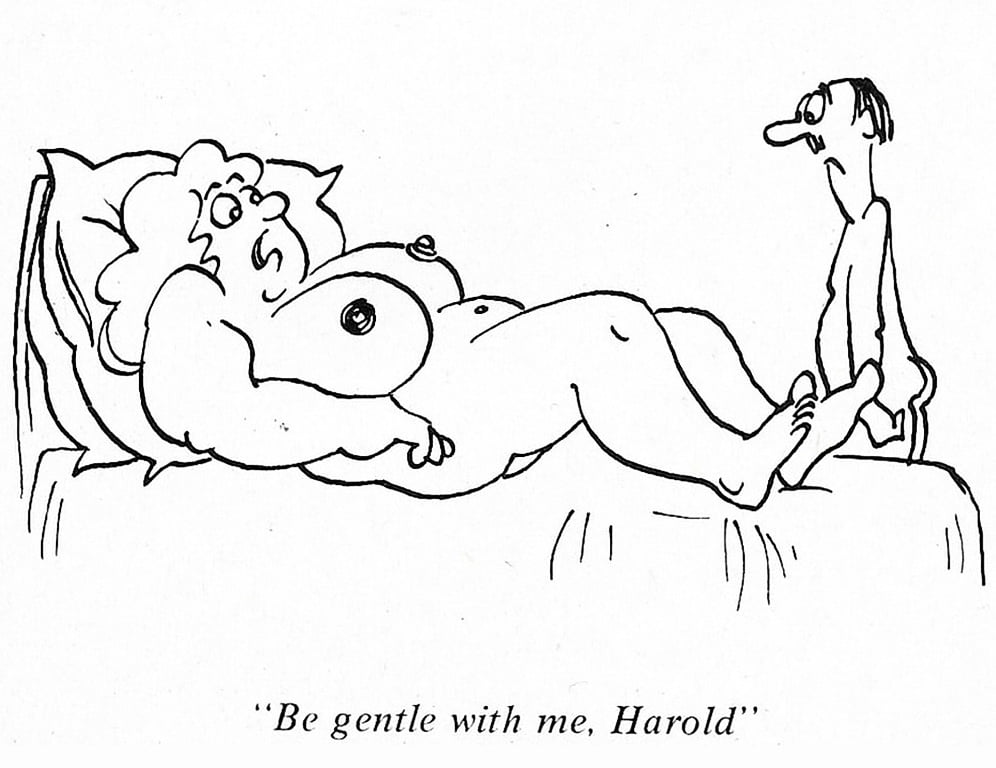 Humorous Erotica - Cartoons Galore #89789764