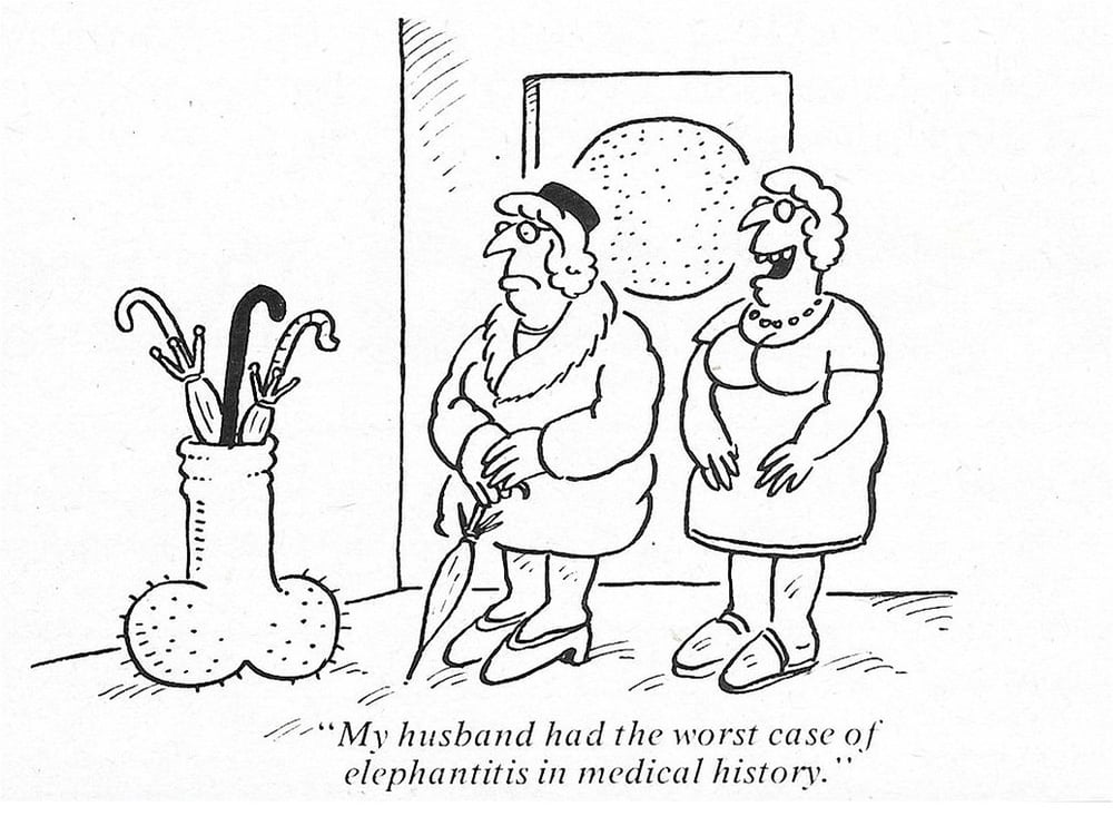 Humorous Erotica - Cartoons Galore #89789773