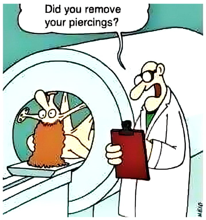 Humorous Erotica - Cartoons Galore #89790078