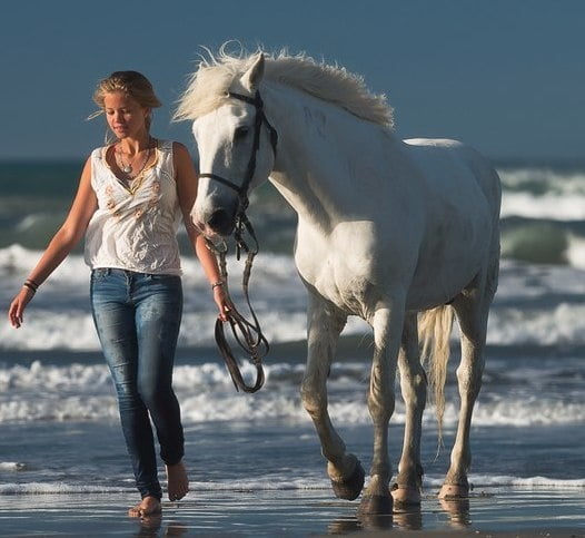 BEACHS beachs beachs #95097394