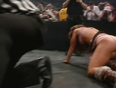 WWE Babes Gifs Mix #3 (TheFiend1988) #94007031