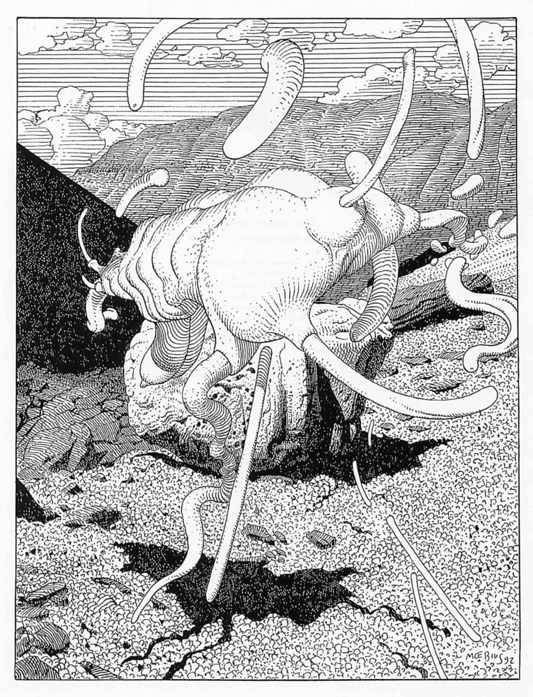 Griffes d&#039;Ange #93748991