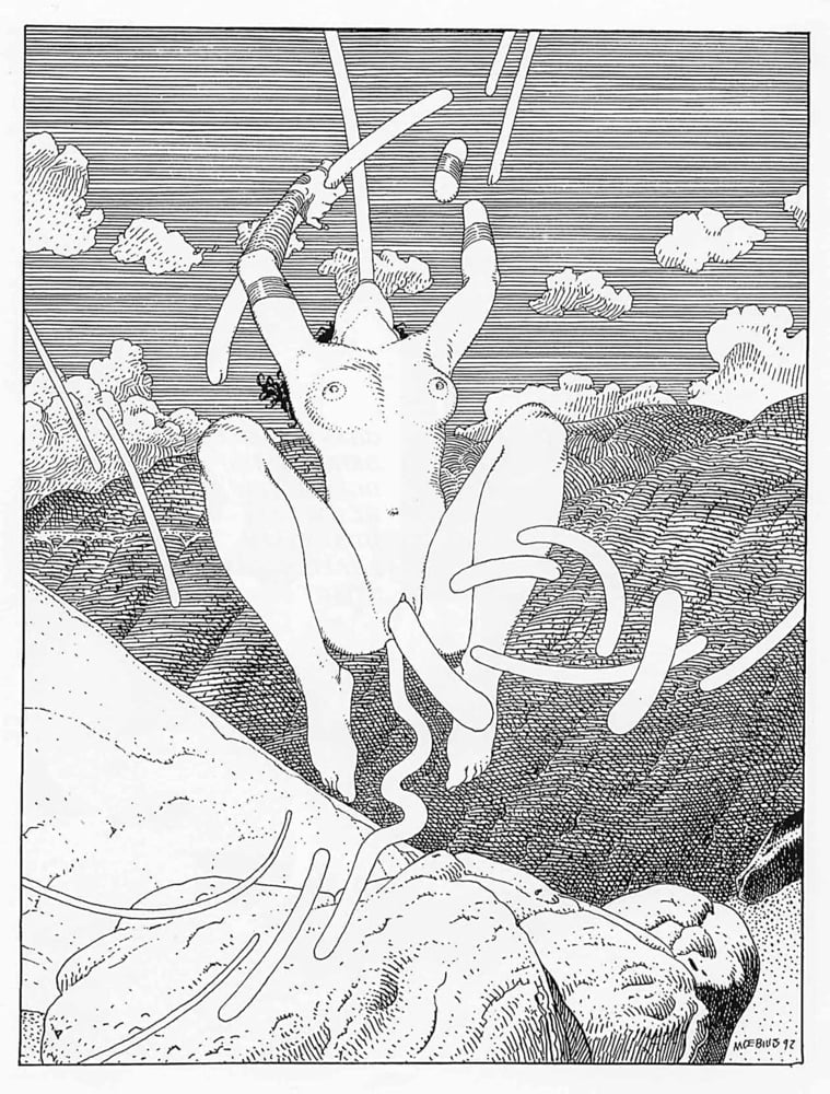 Griffes d&#039;Ange #93748997