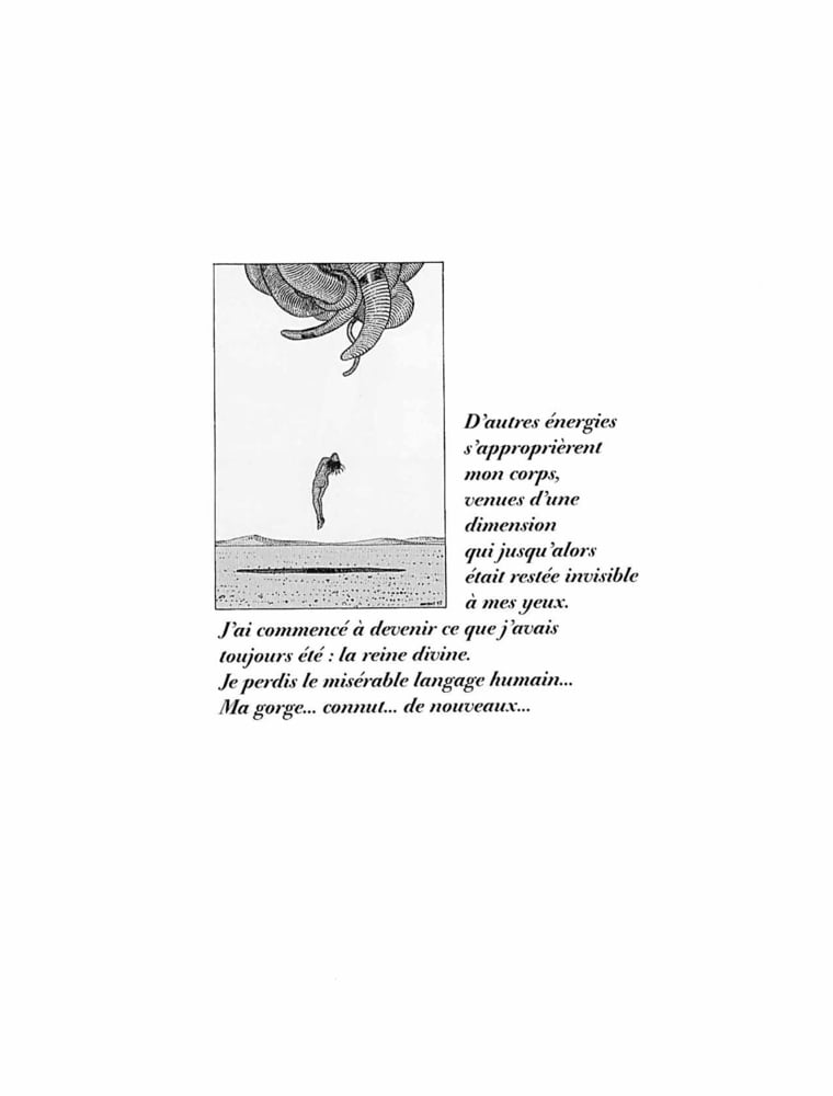 Griffes d&#039;Ange #93749000