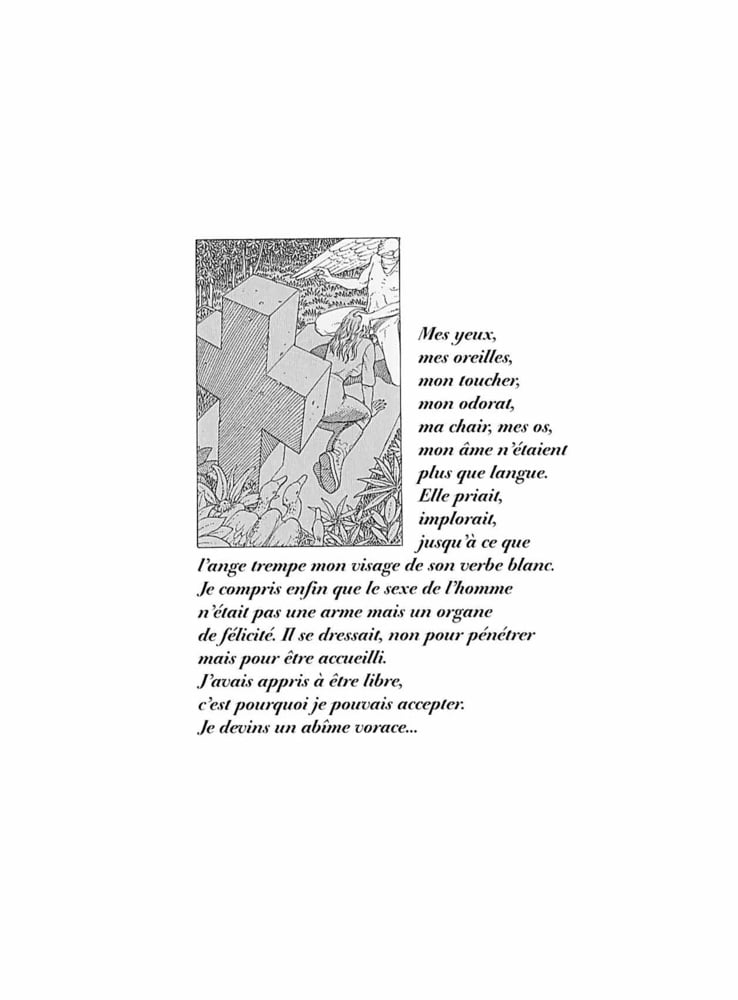 Griffes d&#039;Ange #93749024