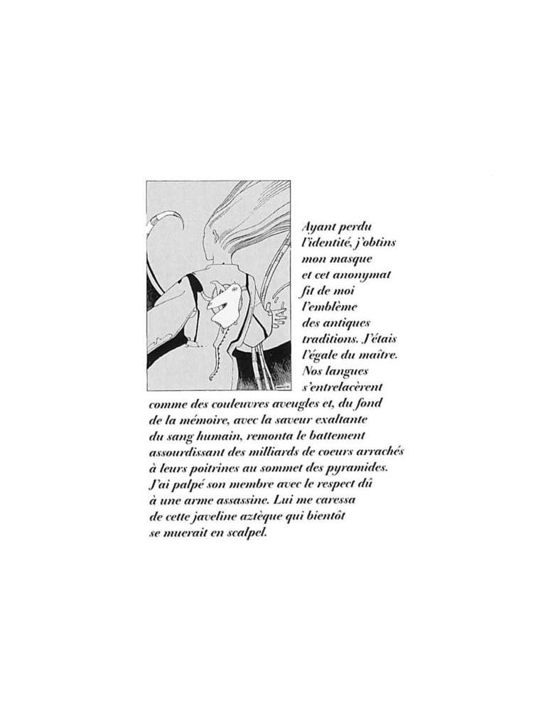 Griffes d&#039;Ange #93749086