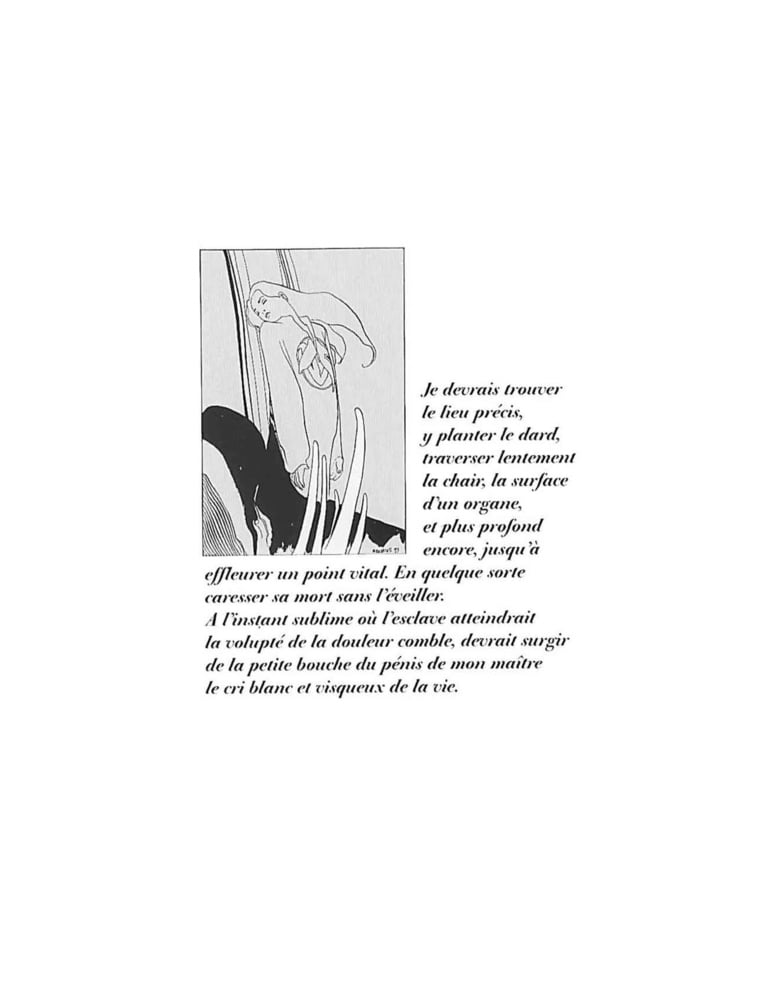 Griffes d&#039;Ange #93749098