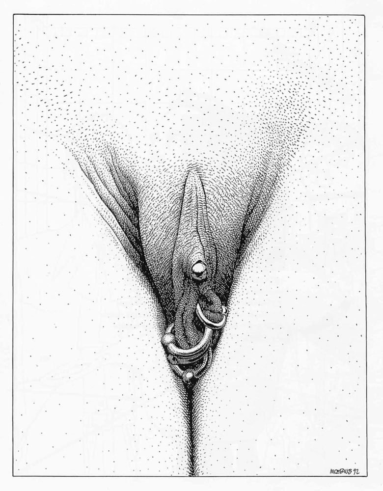 Griffes d'ange
 #93749101