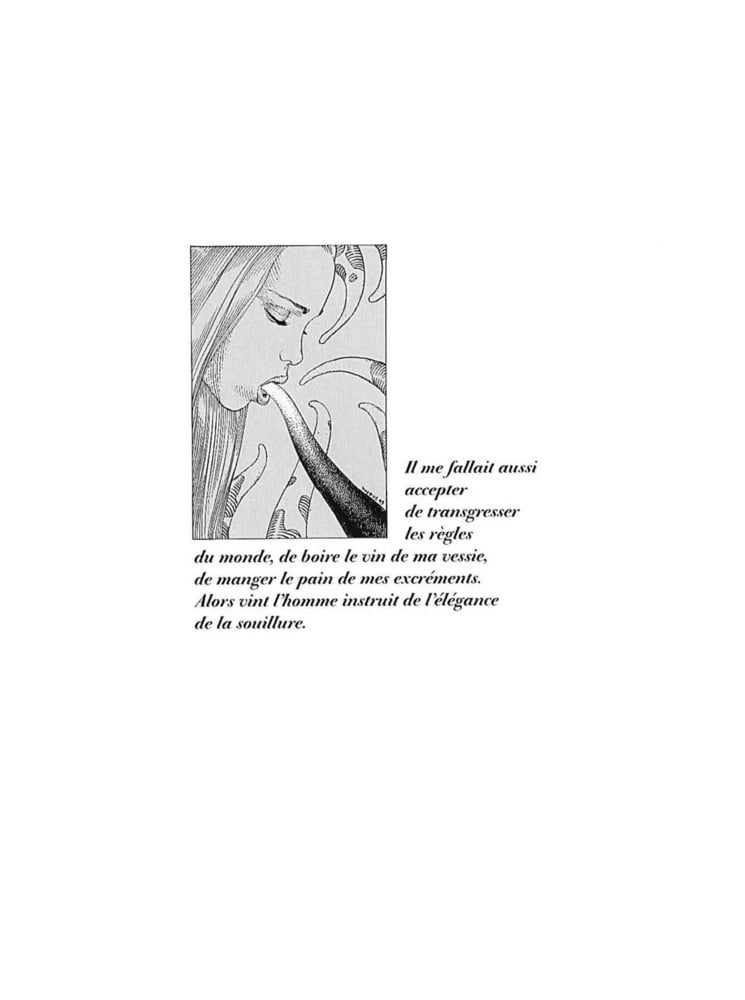 Griffes d&#039;Ange #93749122