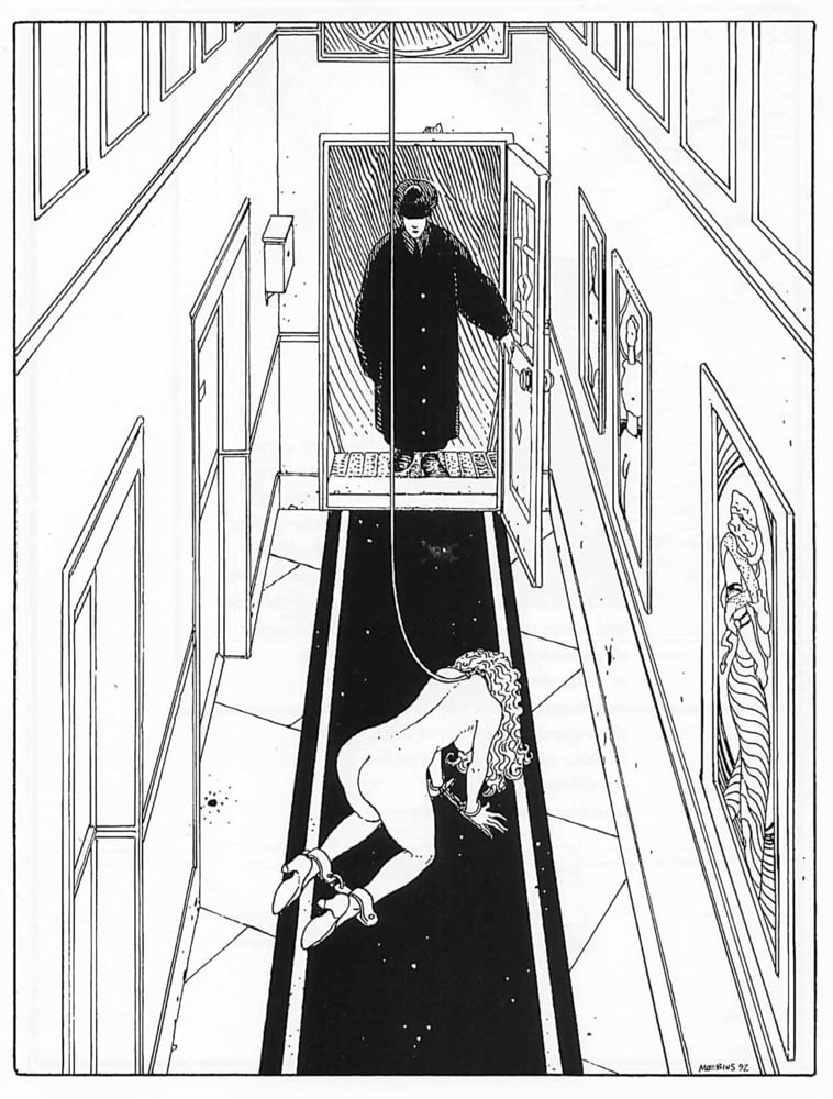 Griffes d&#039;Ange #93749149