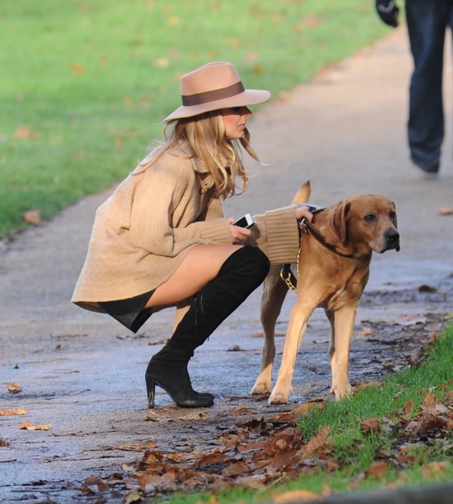 Ich will dein Hund sein
 #96621402