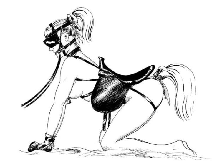 Lesbian pony play art
 #105683166