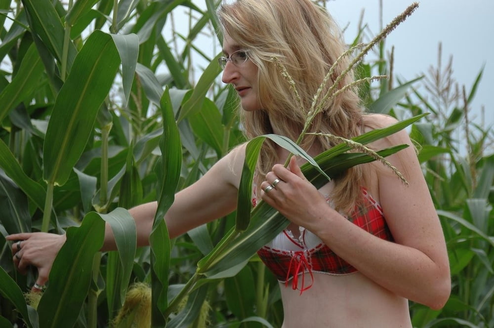 Madura 242
 #102917434