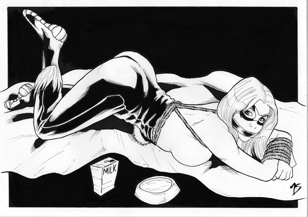 catwoman black cat #92442655